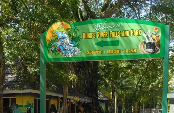 Dunn’s River Falls – Ocho Rios - Image 3